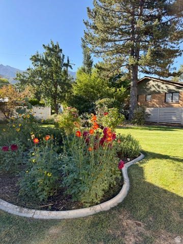 2924 Robidoux Road Sandy, UT 84093 - Photo 59 of 68 Landscaped garden bed with vibrant floral plantings and concrete curbing, bordered by green lawn