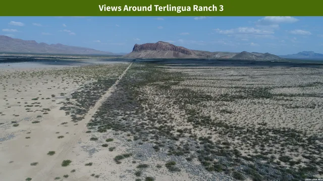 $8,699 | 0 Ivy Road, Alpine, TX 79830