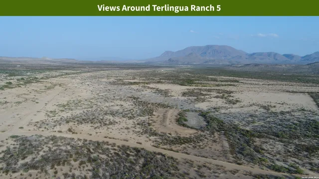 $8,699 | 0 Ivy Road, Alpine, TX 79830