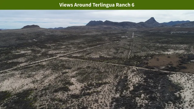 $8,699 | 0 Ivy Road, Alpine, TX 79830