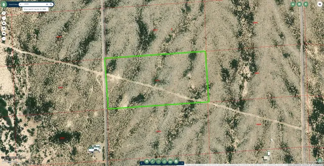 a view of a forest with a dry yard