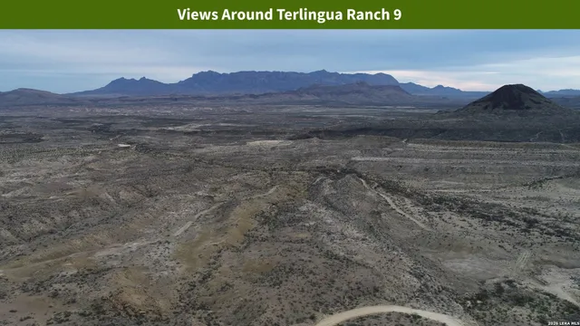 $8,699 | 0 Ivy Road, Alpine, TX 79830