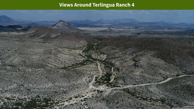 a view of a dry yard with trees