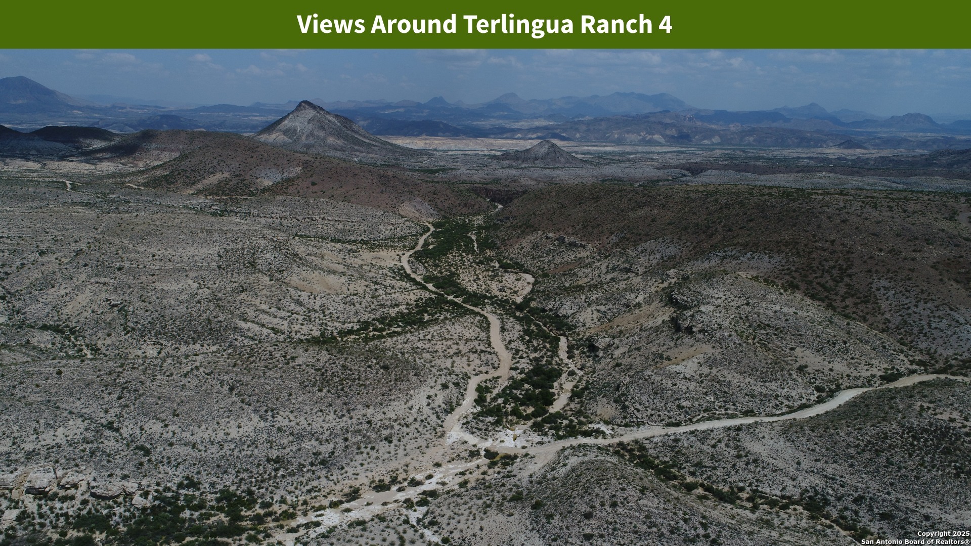 0 Ivy Road Alpine, TX 79830 - Photo 30 of 50 a view of a dry yard with trees