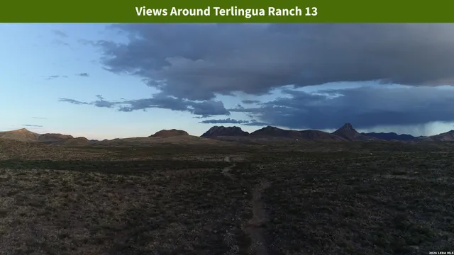 $8,699 | 0 Ivy Road, Alpine, TX 79830