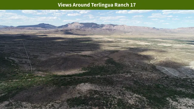 $8,699 | 0 Ivy Road, Alpine, TX 79830