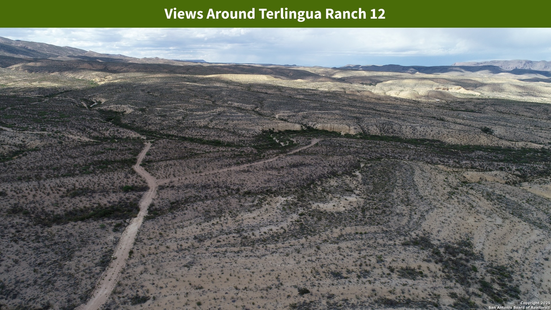 0 Ivy Road Alpine, TX 79830 - Photo 38 of 50 a view of a dry yard with wooden fence