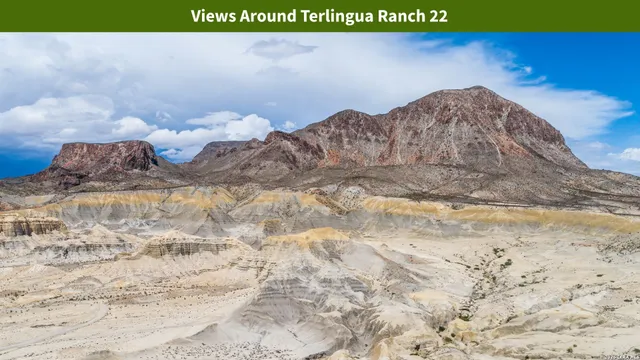 $8,699 | 0 Ivy Road, Alpine, TX 79830