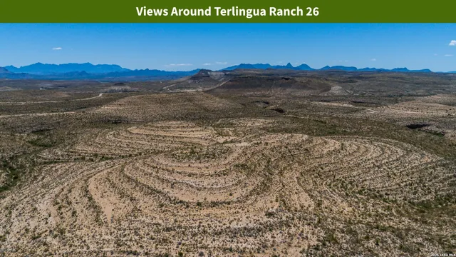 $8,699 | 0 Ivy Road, Alpine, TX 79830