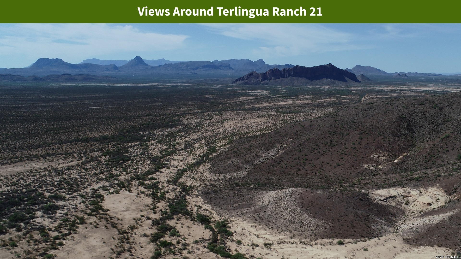 0 Ivy Road Alpine, TX 79830 - Photo 46 of 50 a view of a yard with a forest