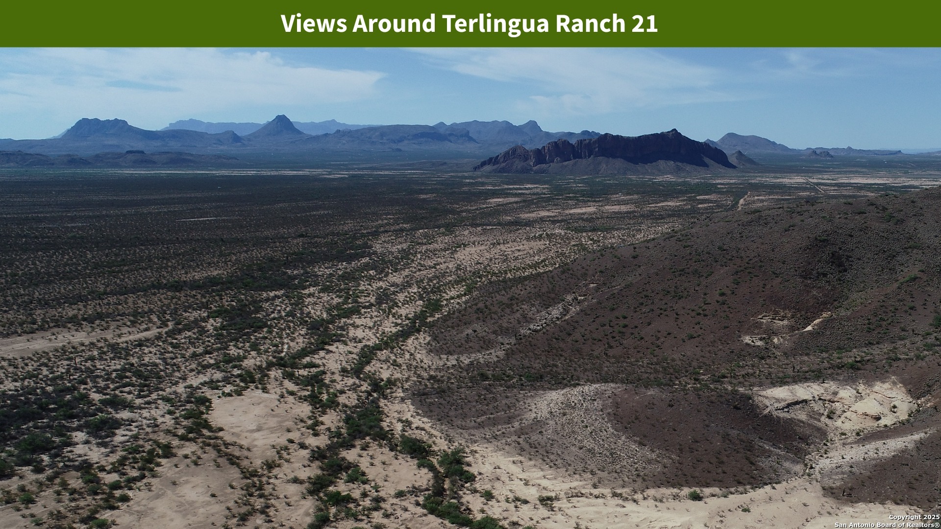 0 Ivy Road Alpine, TX 79830 - Photo 47 of 50 a view of a yard with a forest