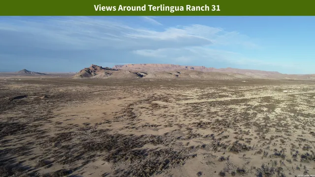 $8,699 | 0 Ivy Road, Alpine, TX 79830