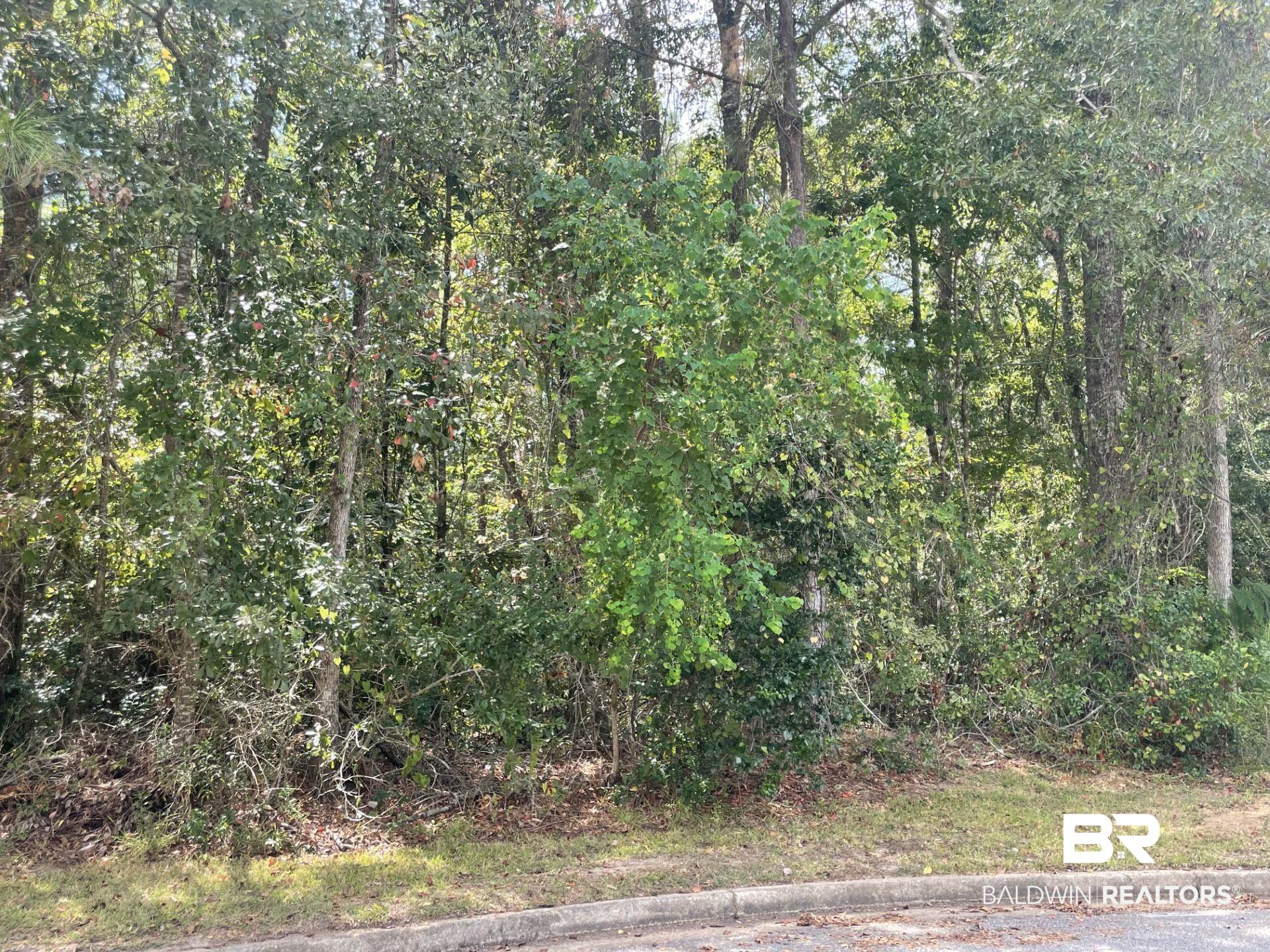 0 Weston Drive Mobile, AL 36695 - Photo 2 of 4