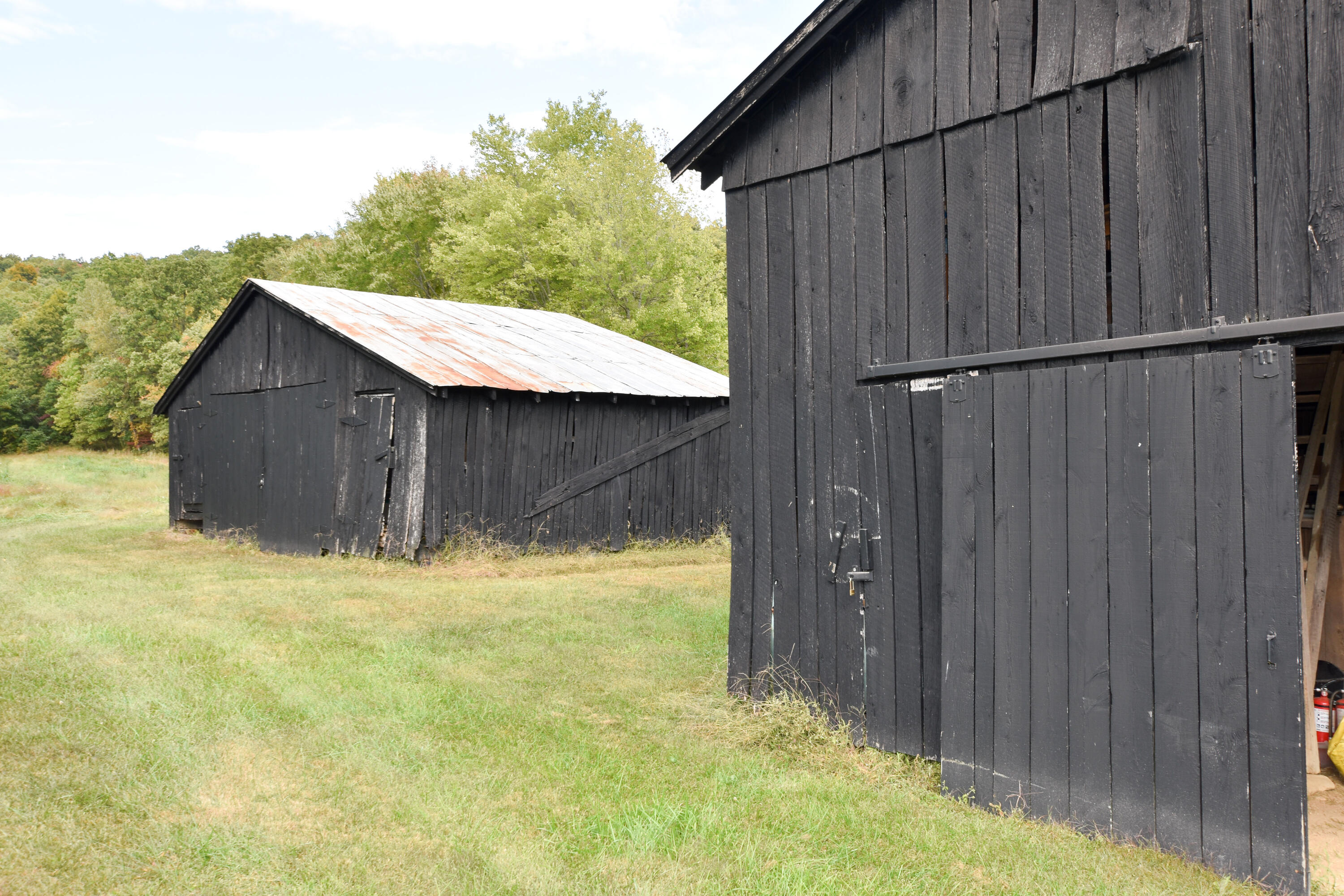 2390 Beechy Creek Road Wallingford, KY 41093 - Photo 88 of 89 DSC_0150