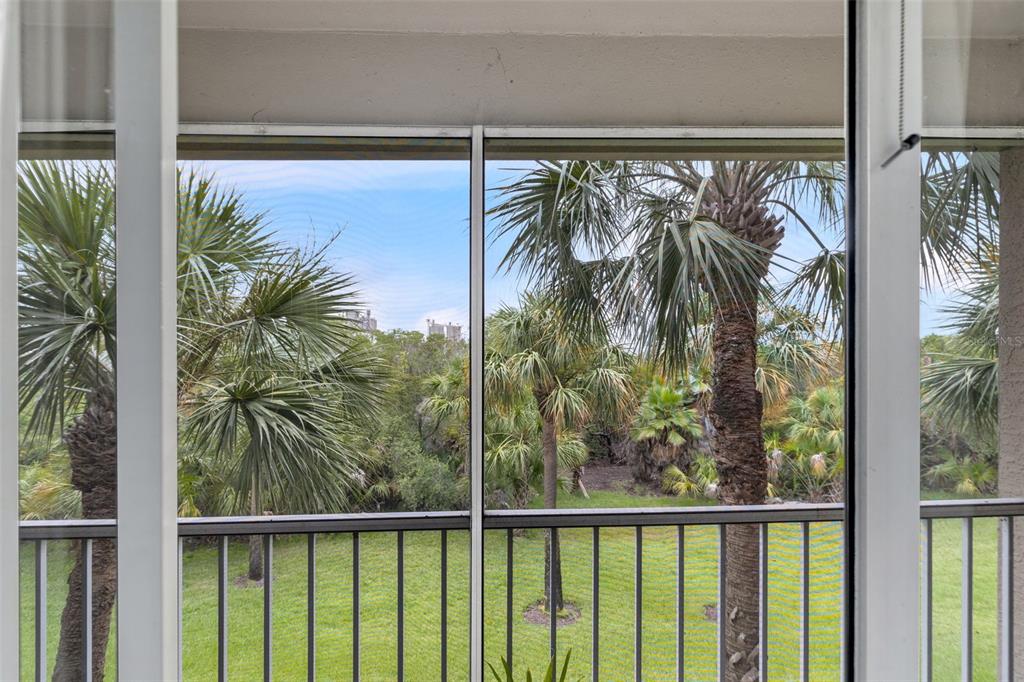 1039 Normandy Trace Road, Unit 1039 Tampa, FL 33602 - Photo 18 of 19 a view of a balcony