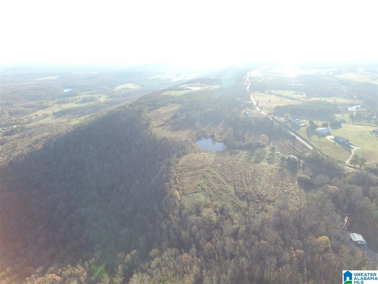0 County Road 24, Unit 49 / ACRES Springville, AL 35146 - Photo 6 of 18