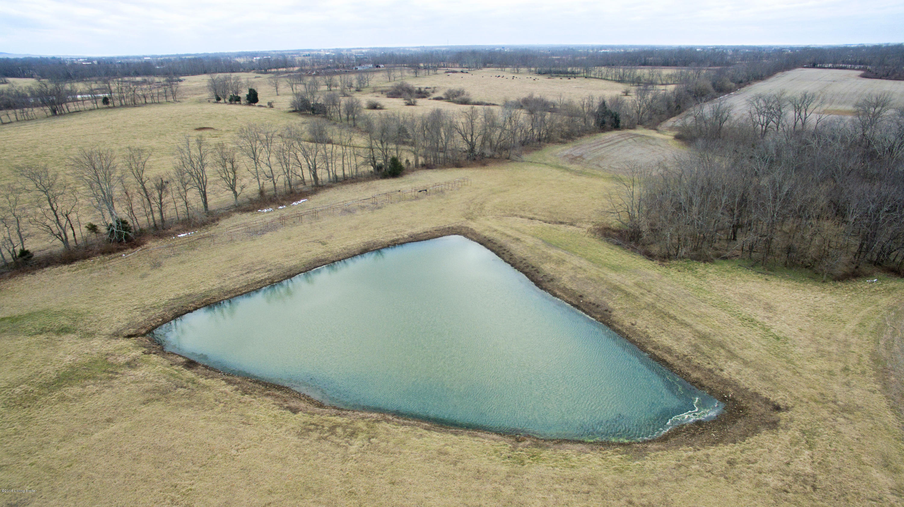2 Cropper Road Pleasureville, KY 40057 - Photo 6 of 8 Pond-2