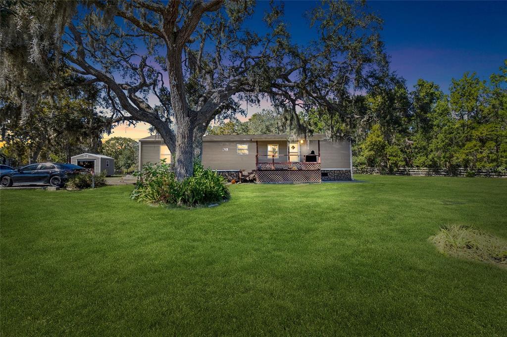 a large tree in middle of the green field