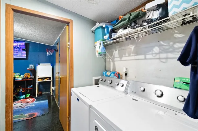 a view of a garden with a tree