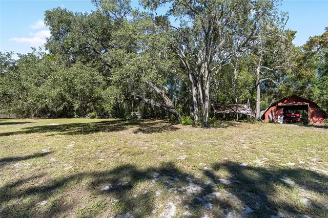 a view of outdoor space with trees all around