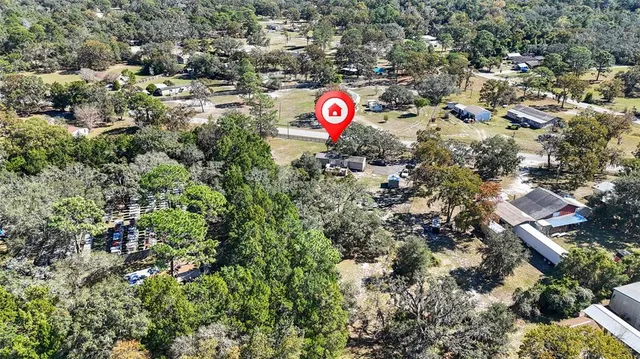 view of a tree with a yard