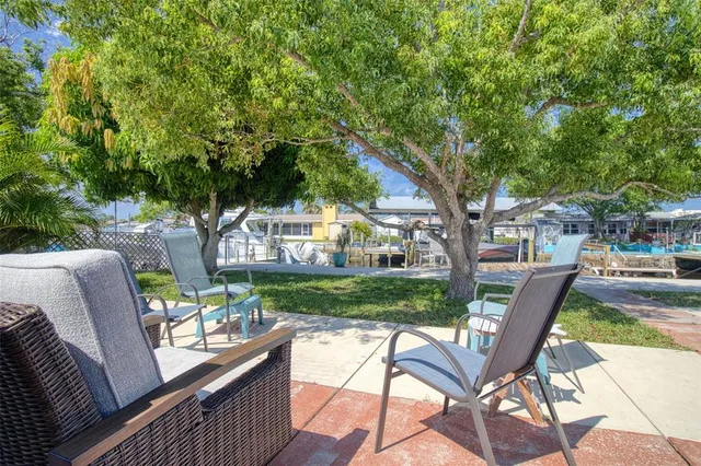 a view of a yard with tree s