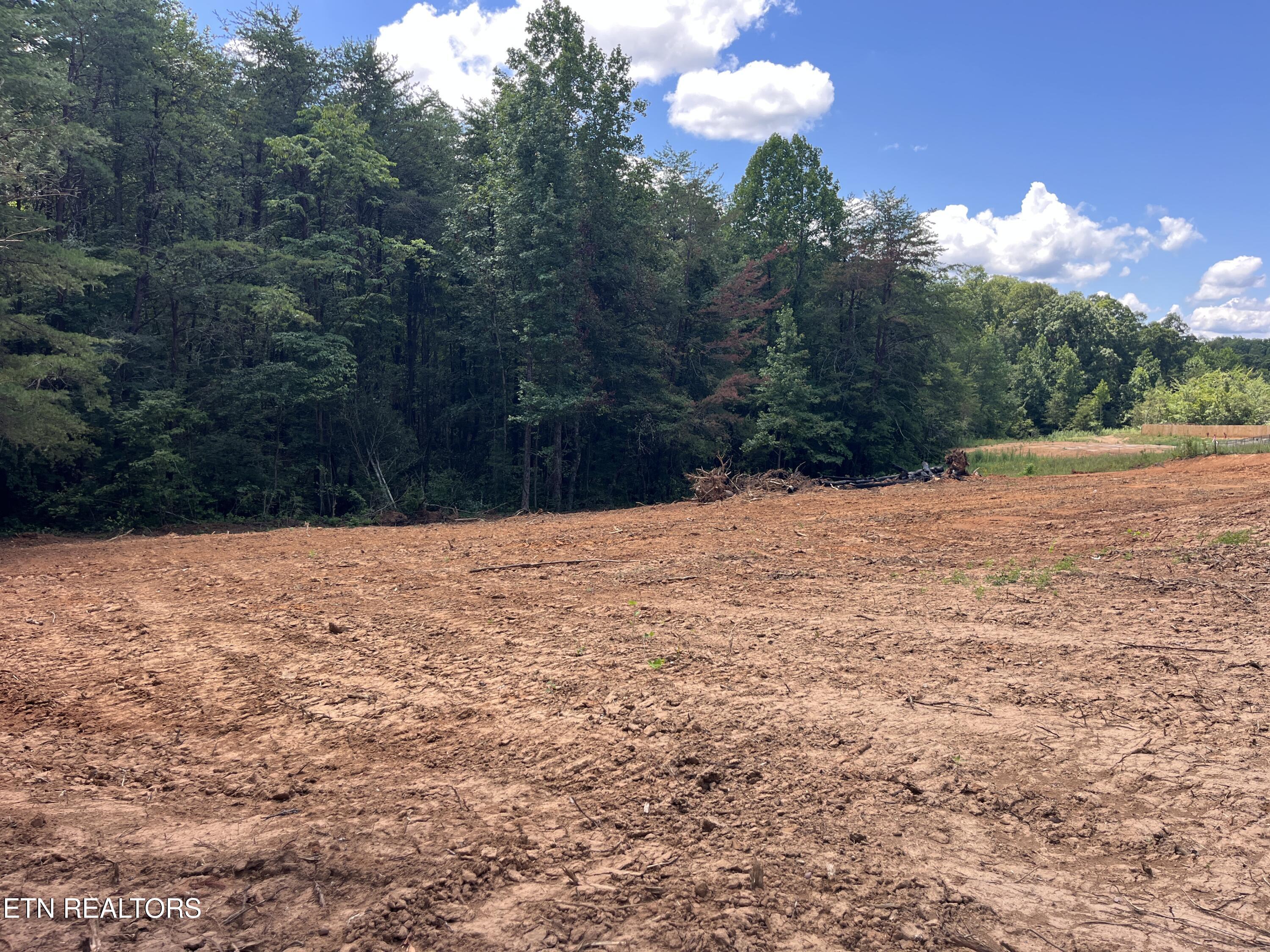 4540 6 Mile Road Maryville, TN 37803 - Photo 18 of 22 IMG_9931