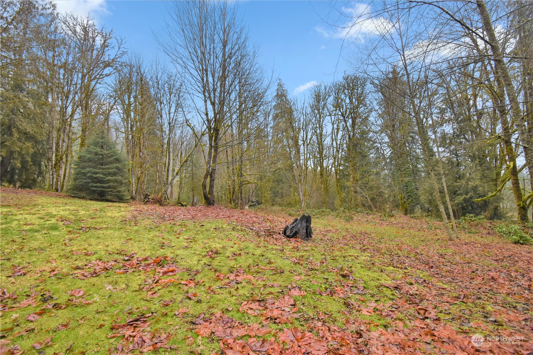 53635 Shular Road Rockport, WA 98283 - Photo 1 of 20 Gallery Image 1