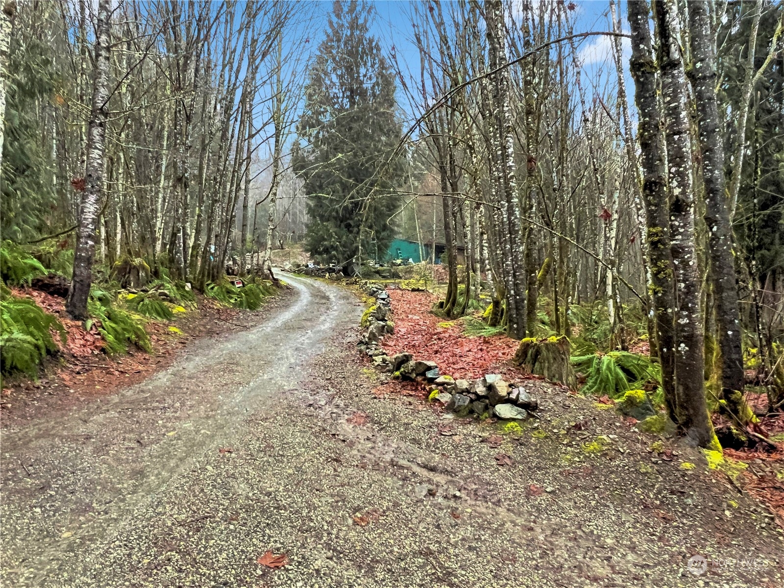 53635 Shular Road Rockport, WA 98283 - Photo 13 of 20 Gallery Image 13