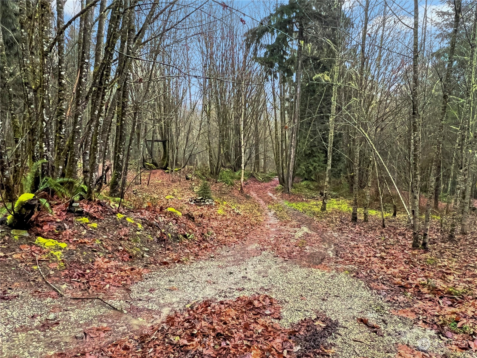 53635 Shular Road Rockport, WA 98283 - Photo 14 of 20 Gallery Image 14