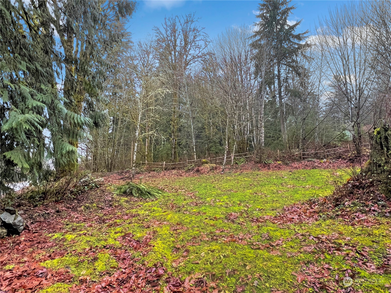 53635 Shular Road Rockport, WA 98283 - Photo 15 of 20 Gallery Image 15