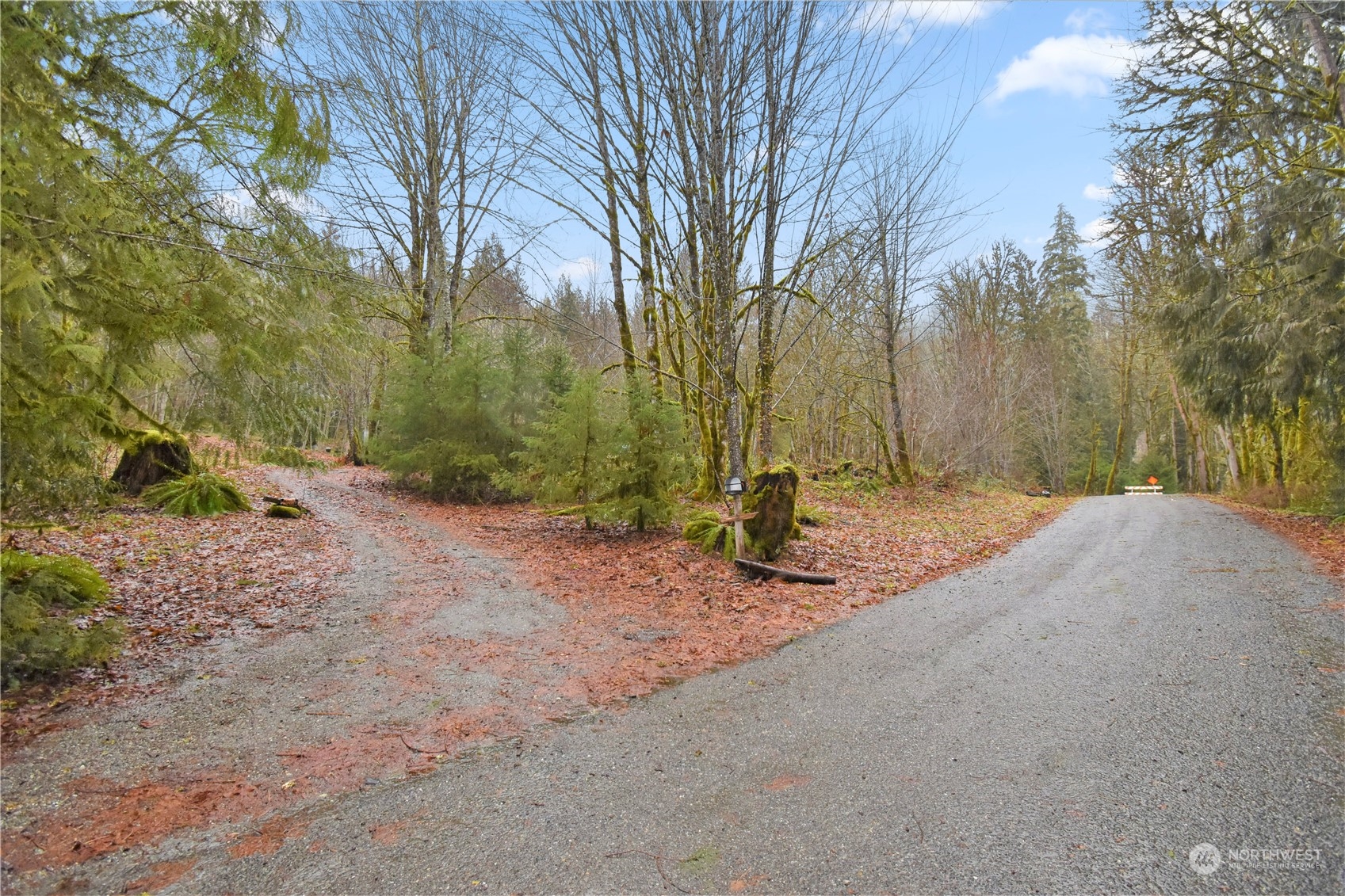 53635 Shular Road Rockport, WA 98283 - Photo 3 of 20 Gallery Image 3