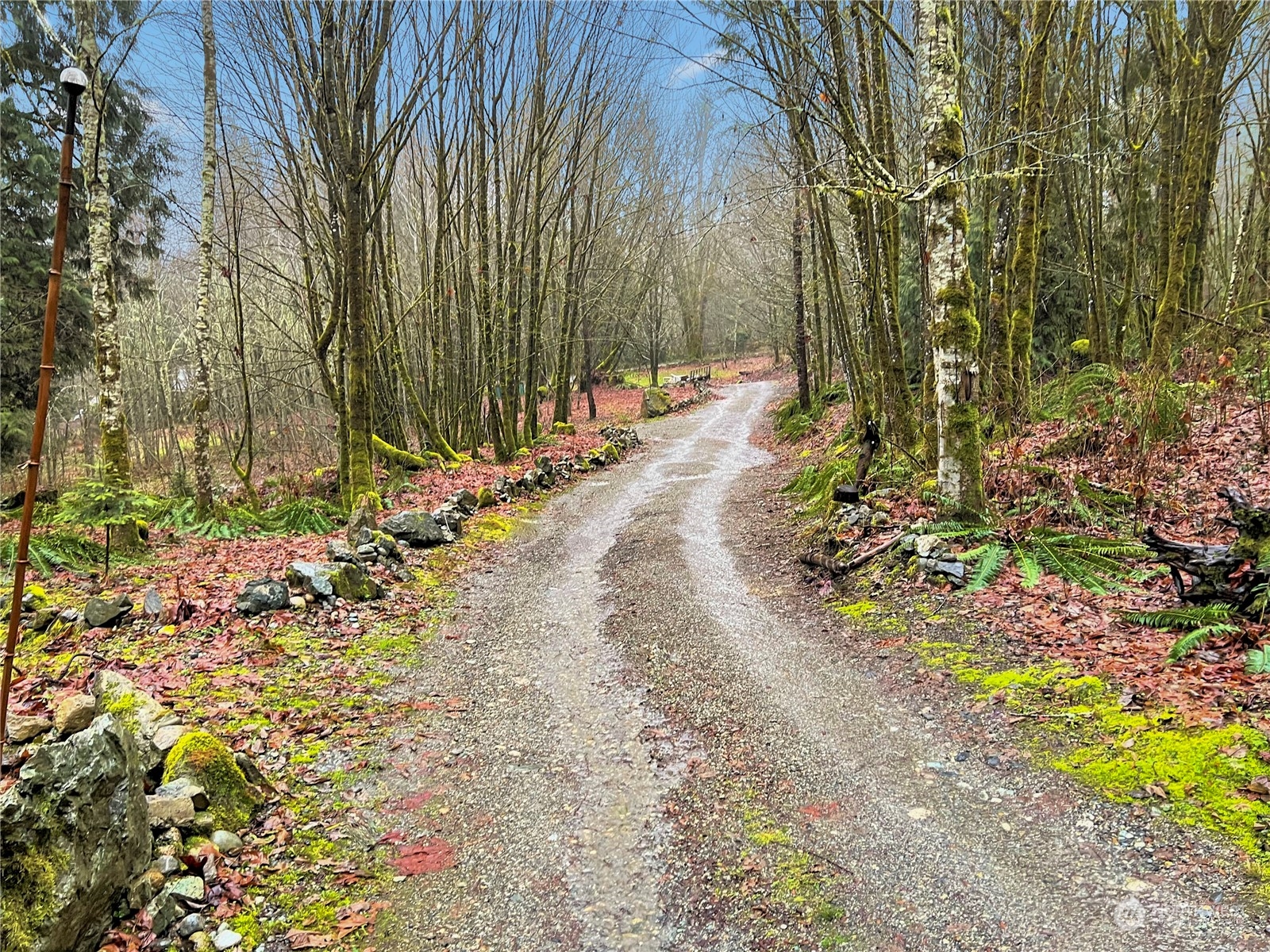 53635 Shular Road Rockport, WA 98283 - Photo 4 of 20 Gallery Image 4