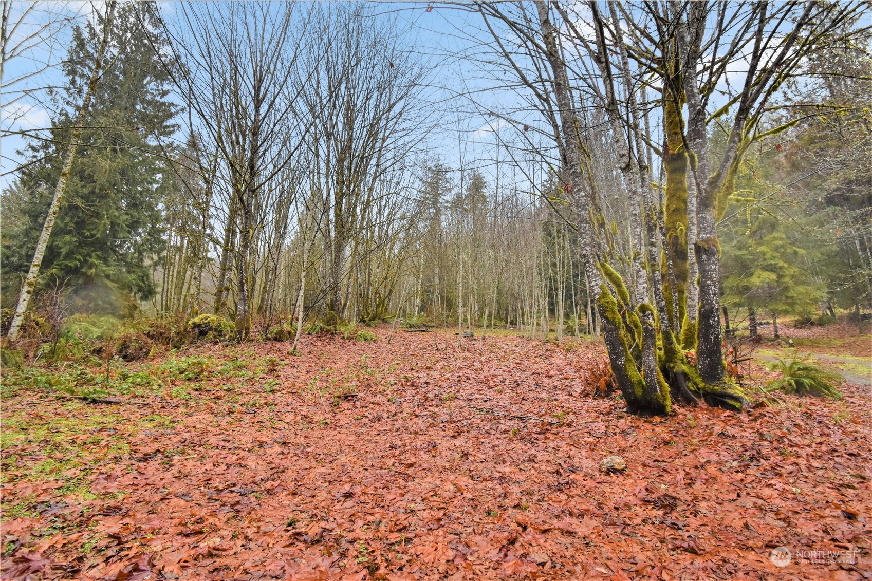 53635 Shular Road Rockport, WA 98283 - Photo 7 of 20 Gallery Image 7