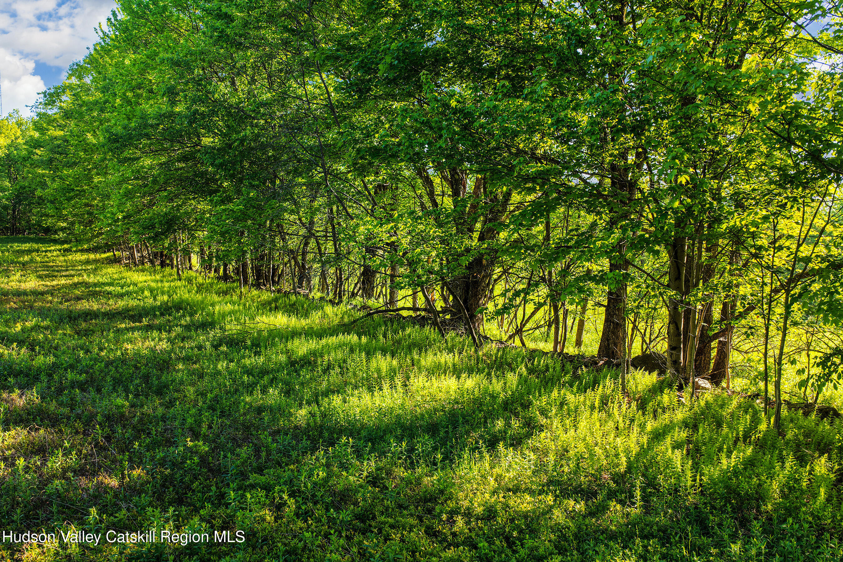 0 Frank Slawson Road Oneonta, NY 13820 - Photo 20 of 29 DJI_20260603074034_0555_D-Edit