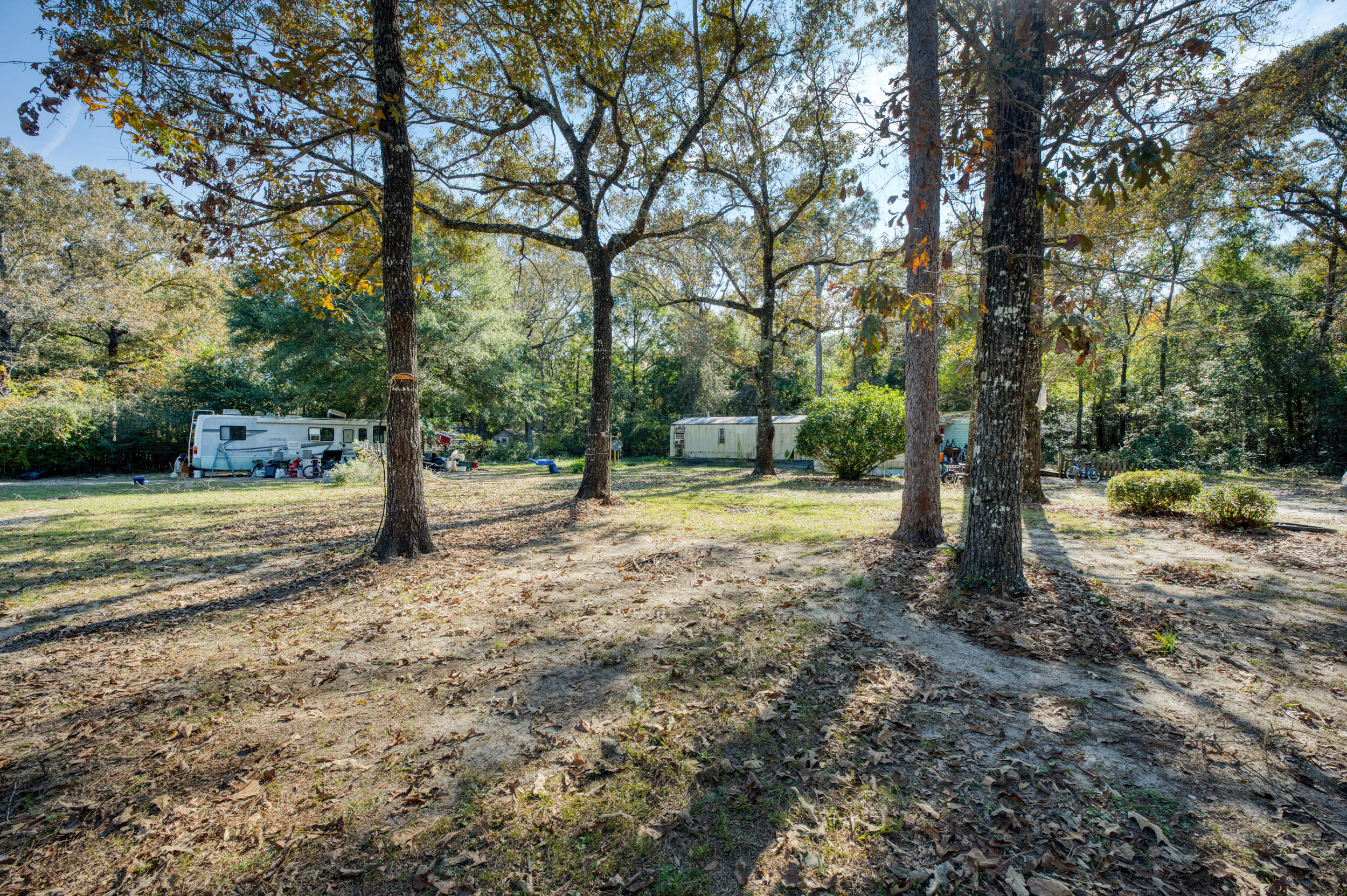 281 Pipers Landing Road DeFuniak Springs, FL 32433 - Photo 21 of 22 a view of a tree with a yard