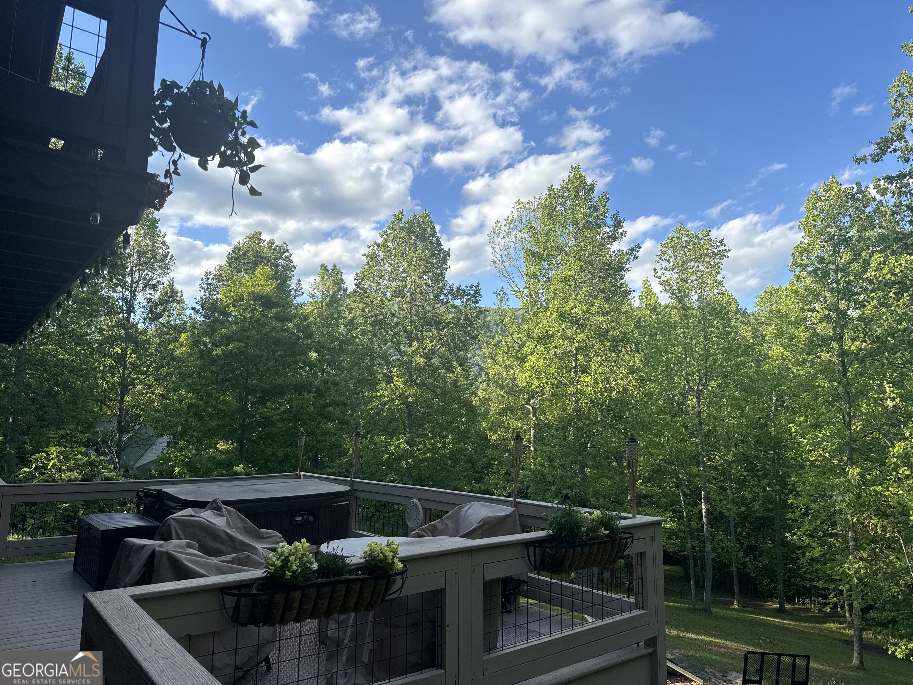 255 Prairie Flower Drive Cleveland, GA 30528 - Photo 3 of 11 a view of a backyard with sitting area