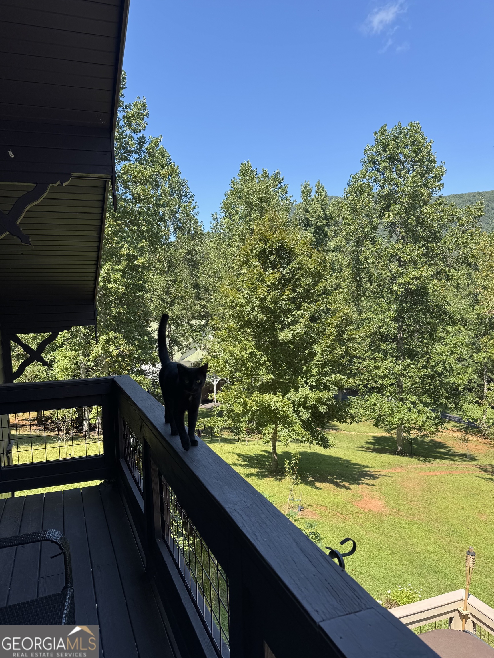 255 Prairie Flower Drive Cleveland, GA 30528 - Photo 6 of 11 a view of a lake from a balcony