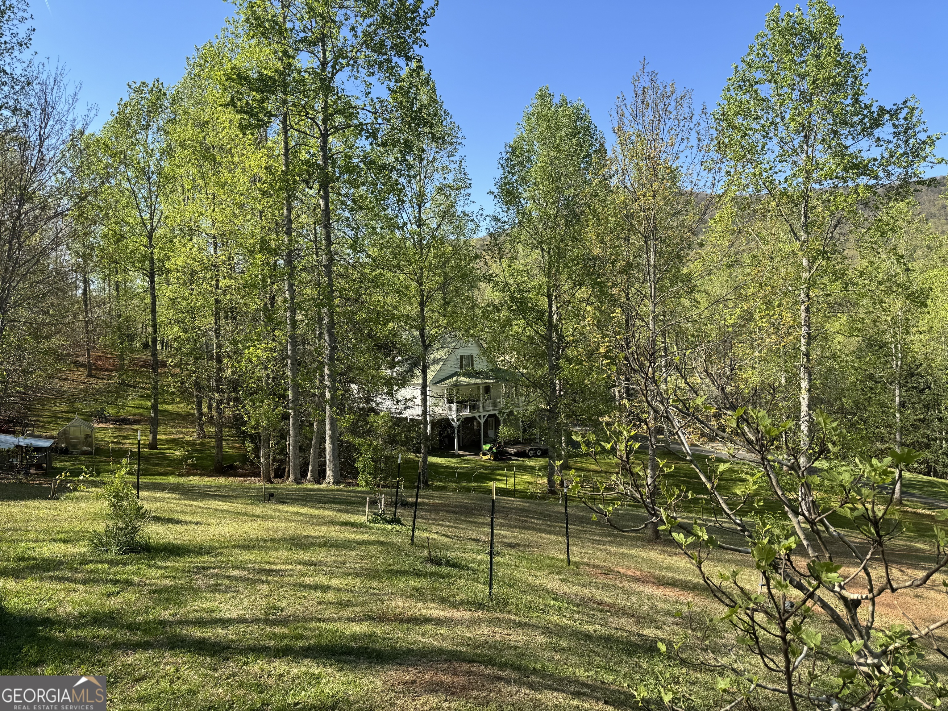 255 Prairie Flower Drive Cleveland, GA 30528 - Photo 7 of 11 a view of a park with large trees