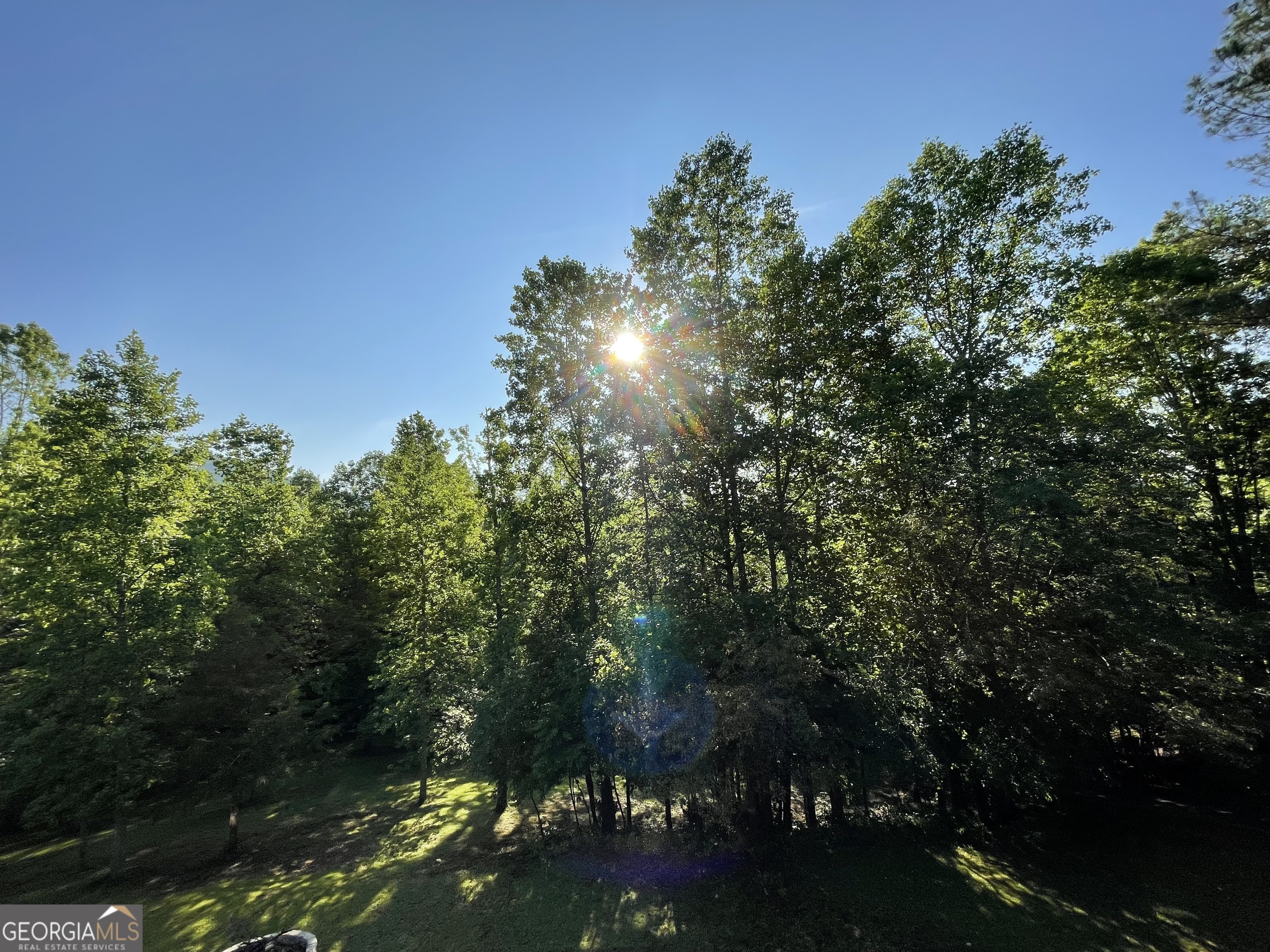 255 Prairie Flower Drive Cleveland, GA 30528 - Photo 9 of 11 a view of a street