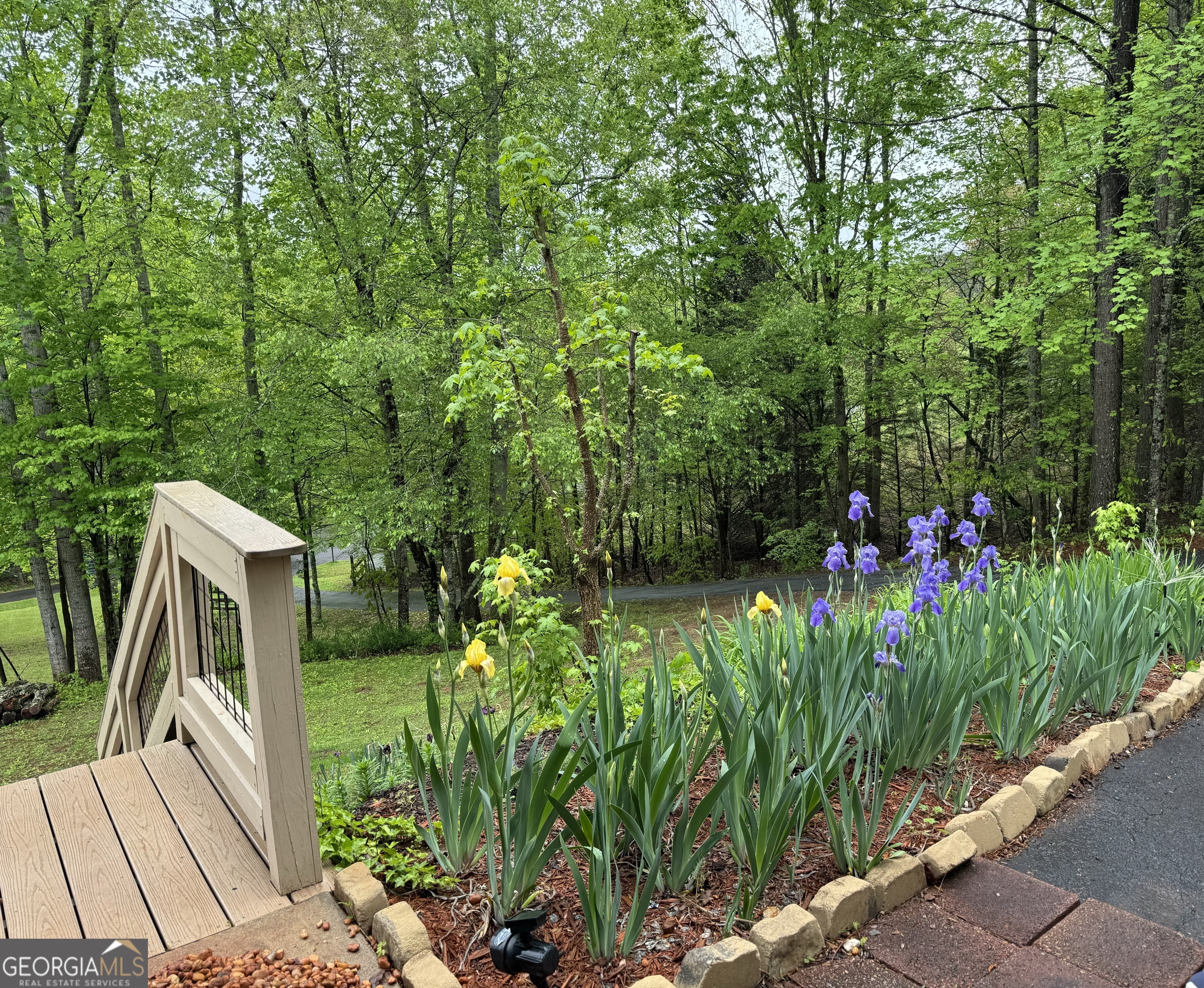 255 Prairie Flower Drive Cleveland, GA 30528 - Photo 10 of 11 a backyard of a house with lots of green space and trees all around