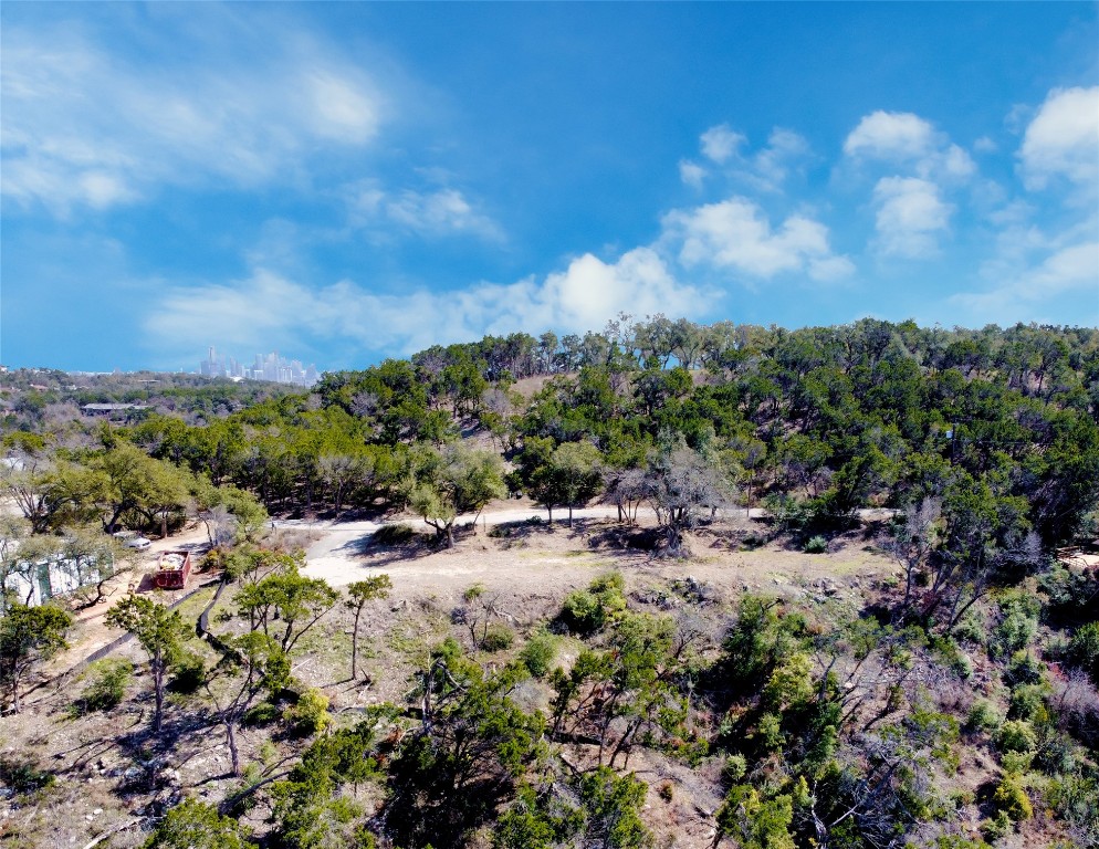 5 Little Bend Road West Lake Hills, TX 78746 - Photo 5 of 6 a view of a bunch of trees and houses
