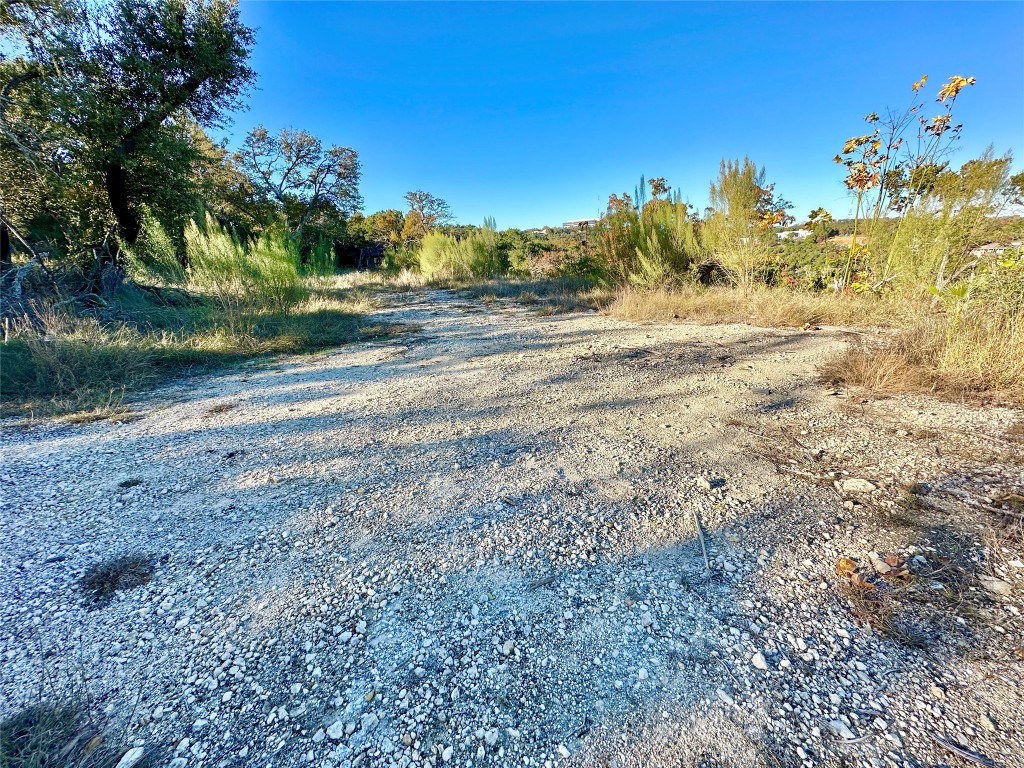 5 Little Bend Road West Lake Hills, TX 78746 - Photo 6 of 6 a view of a yard with a tree