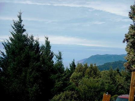 499 Vance Road Shelter Cove, CA 95589 - Photo 1 of 2