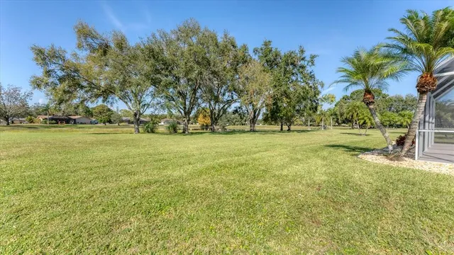 a view of a field with trees in the background