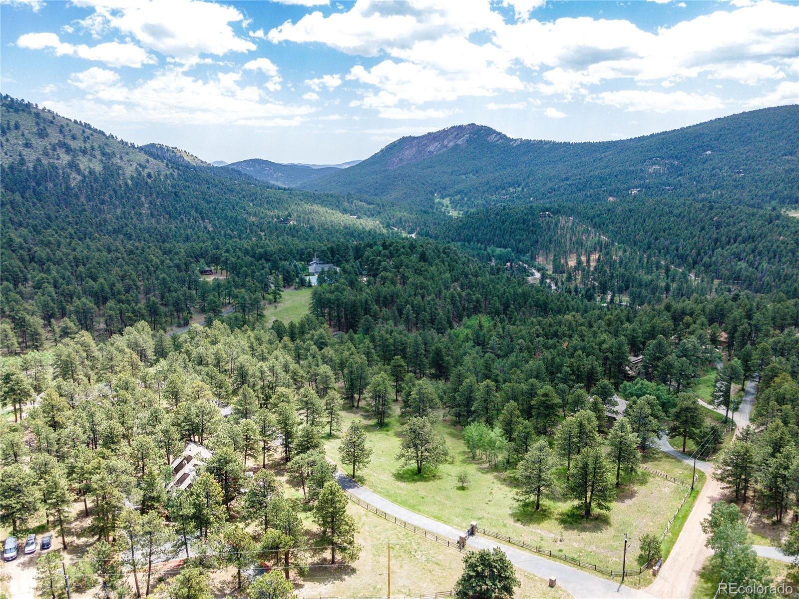 272 Greystone Road Evergreen, CO 80439 - Photo 3 of 40 a view of a forest with a mountain