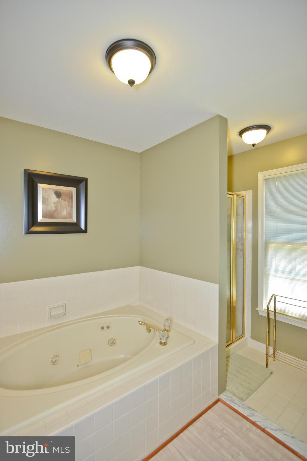 3857 Inverness Road Fairfax, VA 22033 - Photo 25 of 30 Bath (Master)