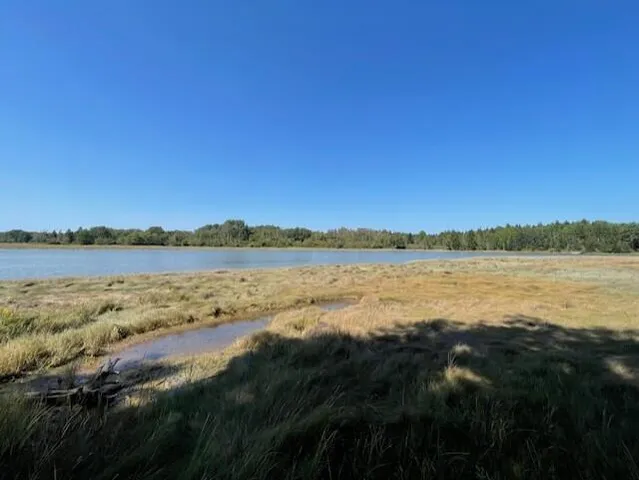 $175,000 | P/o Lot 78 P/o Road, Addison, ME 04606