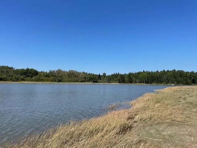 $175,000 | P/o Lot 78 P/o Road, Addison, ME 04606