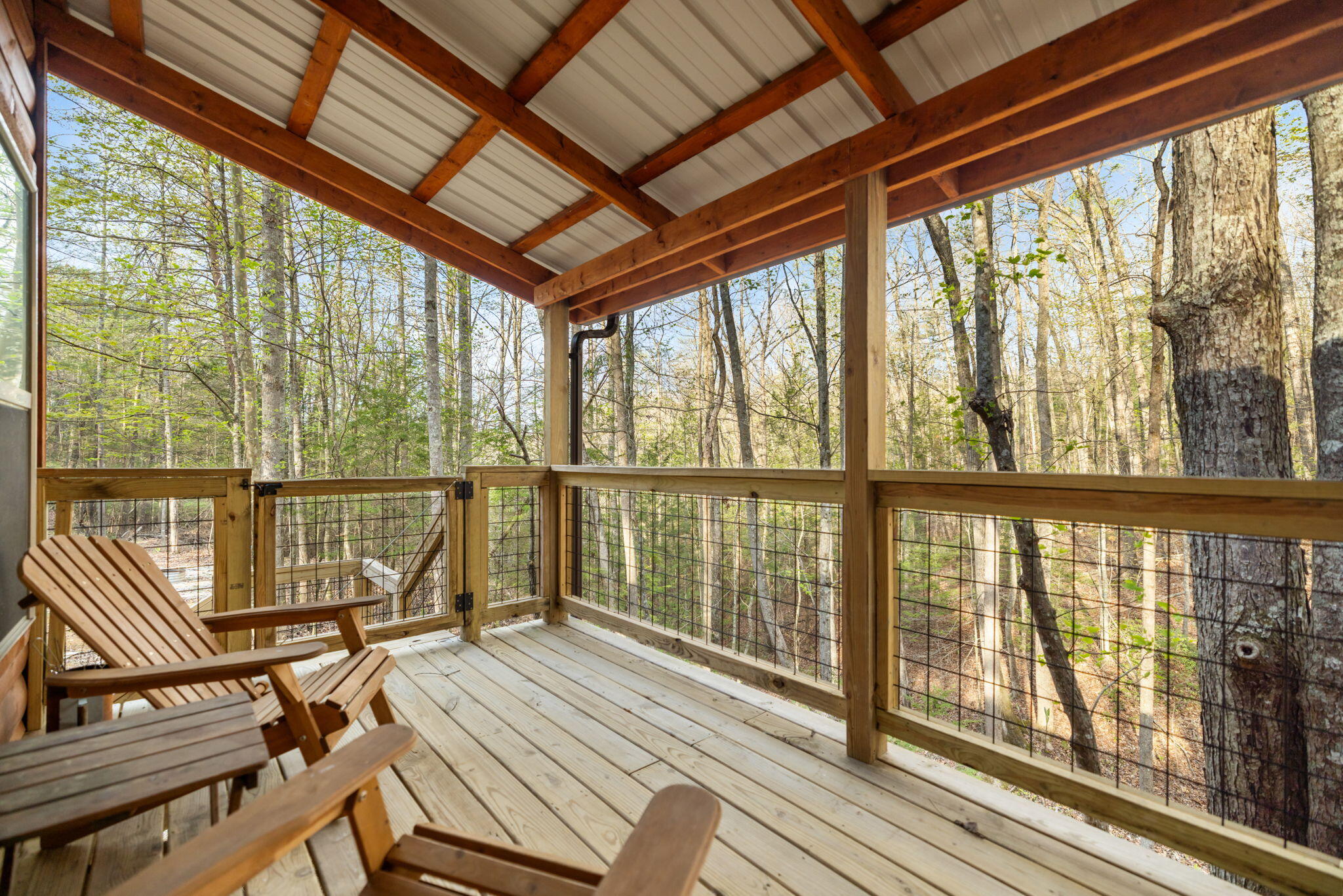 1134 Cliffview Road Zoe, KY 41397 - Photo 36 of 49 39-web-or-mls-IMG_1915